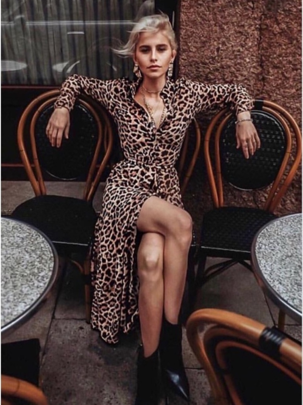 Zara Leopard Print Maxi Dress - Brown